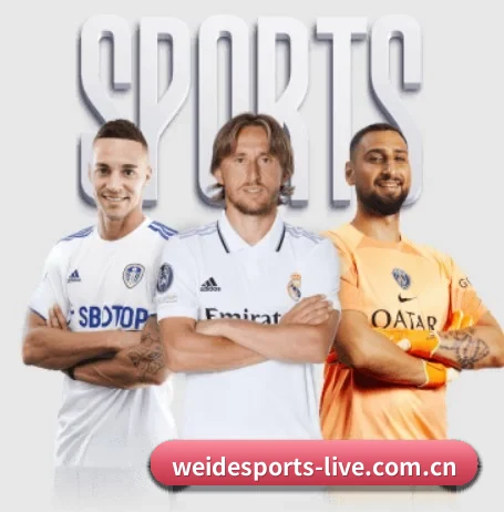 从比分速递到赛后复盘的完整链路(WEIDESPORT)