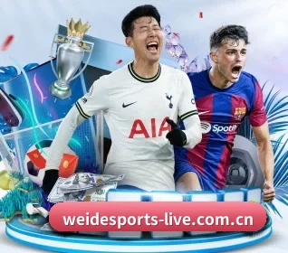 我们在做什么 - 长期内容价值积累(WEIDESPORT)